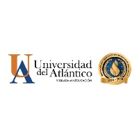 Organización 87